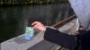 Surpriză pentru locuitorii din Milano: Mii de bancnote au plutit pe canalul Naviglio Pavese