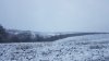NINGE în nordul Moldovei. Pământul este acoperit de un strat subţire de zăpadă (FOTO)