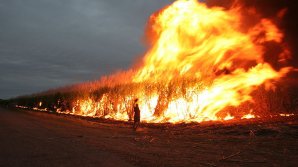 Incendii masive în Australia. Flăcările au pornit de la o casă și s-au răspândit cu repeziciune pe câmpurile din apropiere