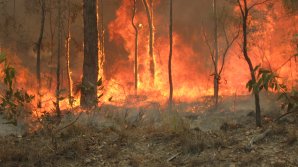 Australia: Nivelul record de secetă, înregistrat în luna noiembrie, amplifică incendiile de vegetaţie devastatoare