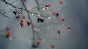 Ploi slabe şi cer acoperit de nori. Câte grade vor indica termometrele mâine