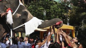 Elefanţi, în rol de Moş Crăciun. Patru animale au împărţit cadouri copiilor