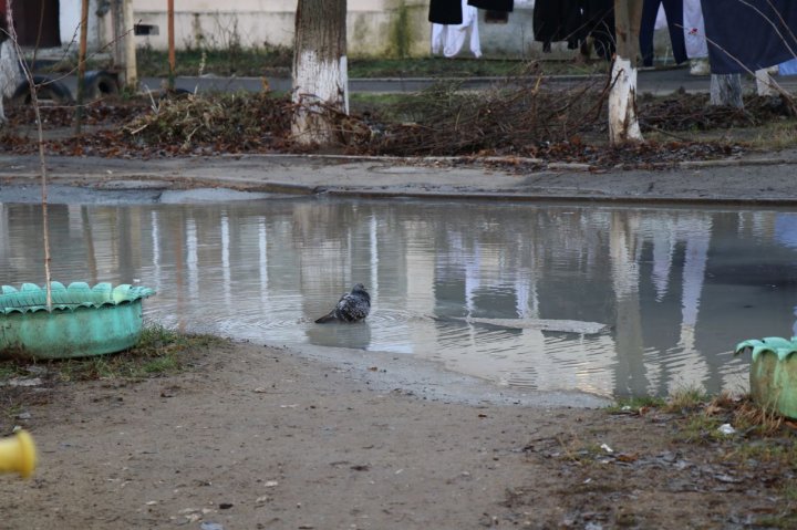 Curtea unui bloc din Capitală, INUNDATĂ (VIDEO/FOTO)