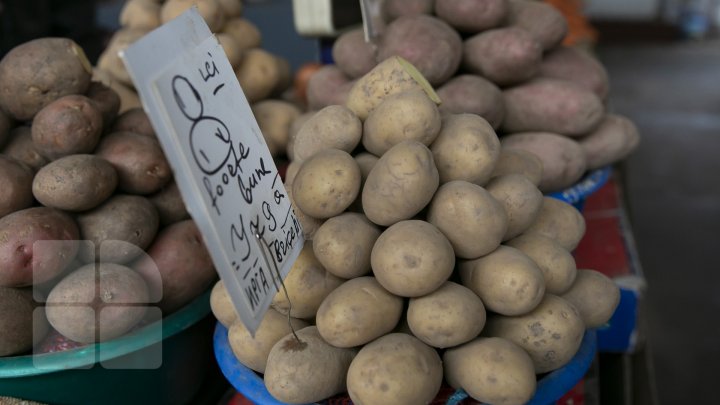 COȘUL PUBLIKA.MD Câți bani vor scoate moldovenii din buzunare pentru produsele alimentare, înainte de sărbători