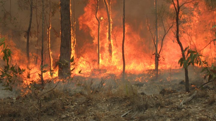 Meteorologii australieni au anunţat când vor cădea ploi suficient de abundente ca să domolească incendiile de vegetaţie