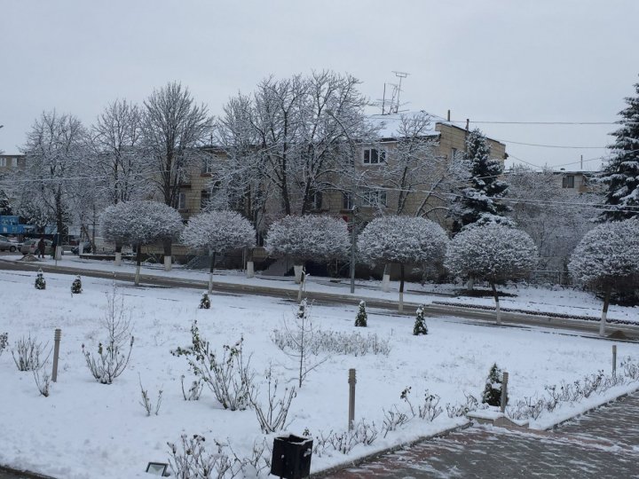 PEISAJ DE BASM la Făleşti. Zăpada a îmbrăcat oraşul în alb (FOTO)