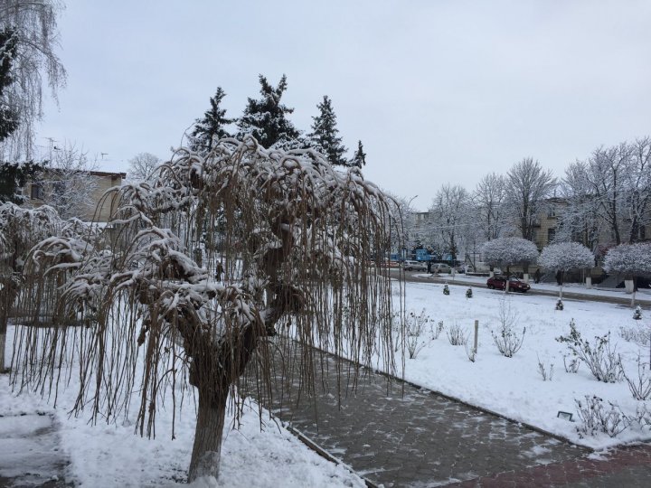 PEISAJ DE BASM la Făleşti. Zăpada a îmbrăcat oraşul în alb (FOTO)