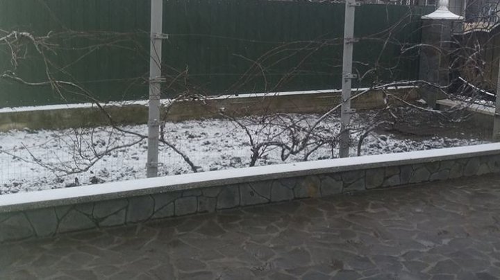 NINGE în nordul Moldovei. Pământul este acoperit de un strat subţire de zăpadă (FOTO)