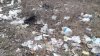 Privelişte dezolantă în preajma unei grădiniţe din Bălţi. Zona a fost transformată într-o gunoişte improvizată (FOTO)