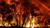 Incendii de vegetaţie la periferia oraşului Atena:  Mai multe localităţi au fost evacuate