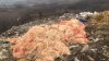 Dezastru ecologic la Grătieşti. Tone de gunoi, aruncate în loc neautorizat (VIDEO)
