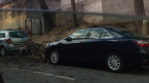 Ghinion pentru doi şoferi. Crengile unui copac au căzut peste automobilele parcate pe marginea drumului (FOTO)