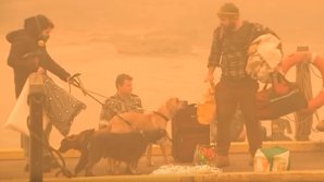 Locuitorii unui oraş din Australia, rămaşi izolaţi din cauza incendiilor de vegetație, au primit 3000 de litri de bere