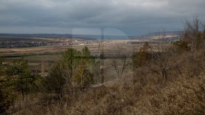 Vreme mohorâtă pentru astăzi, 22 ianuarie. Câte grade vor indica termometrele