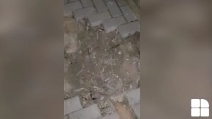 (VIDEO) Ce se întâmplă cu pavajul din parcul Valea Morilor? Un martor, REVOLTAT și INDIGNAT