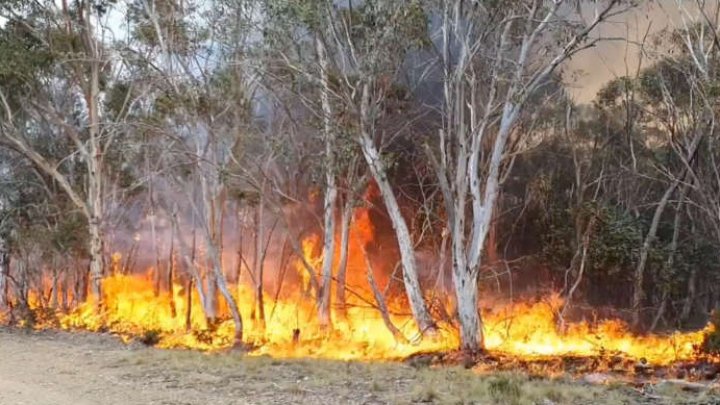 Avertismentul experţilor: Incendiile de vegetaţie vor deveni mai frecvente, iar oamenii vor trebui să se adapteze