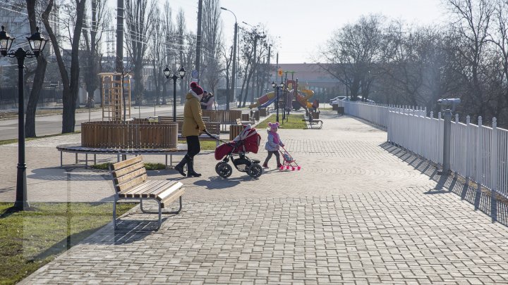 Tomberoanele goale, iar gunoiul pe jos. Tabloul dezolant ce poate fi observat zilnic pe aleea Maria Drăgan din Capitală (FOTOREPORT)