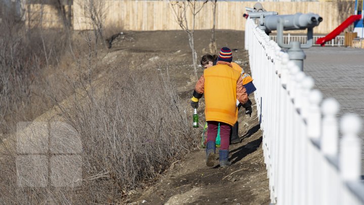 Tomberoanele goale, iar gunoiul pe jos. Tabloul dezolant ce poate fi observat zilnic pe aleea Maria Drăgan din Capitală (FOTOREPORT)