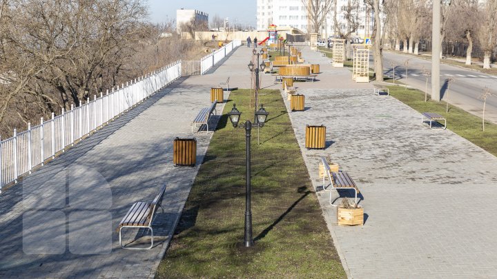 Tomberoanele goale, iar gunoiul pe jos. Tabloul dezolant ce poate fi observat zilnic pe aleea Maria Drăgan din Capitală (FOTOREPORT)