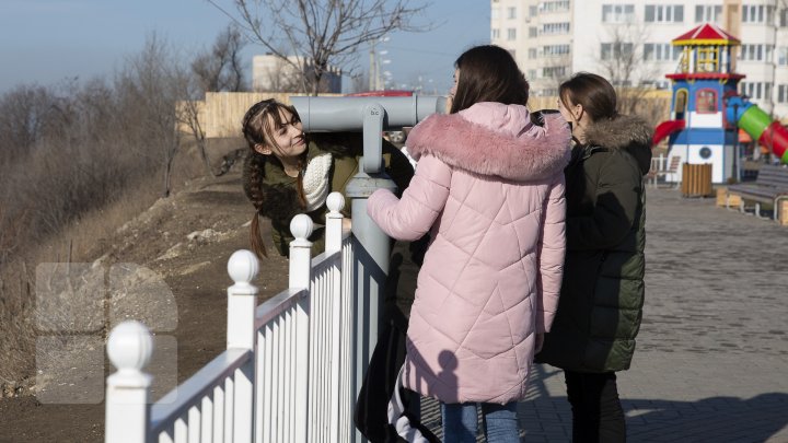 Tomberoanele goale, iar gunoiul pe jos. Tabloul dezolant ce poate fi observat zilnic pe aleea Maria Drăgan din Capitală (FOTOREPORT)