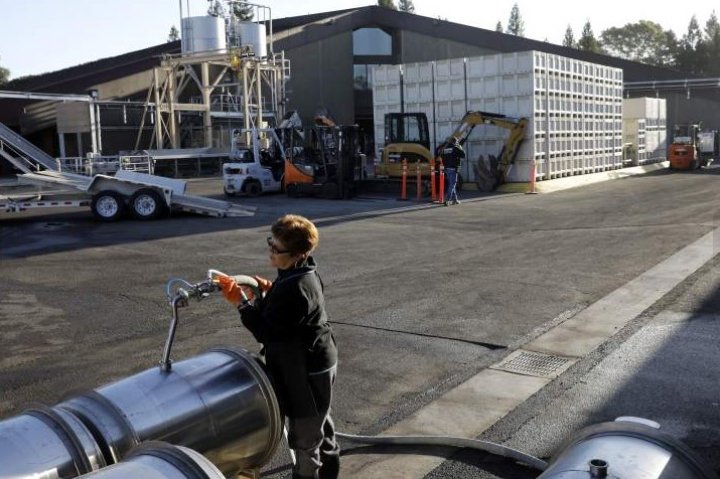 ȚI SE RUPE INIMA! Peste 360.000 de litri de vin s-au scurs într-un pârâu (GALERIE FOTO)