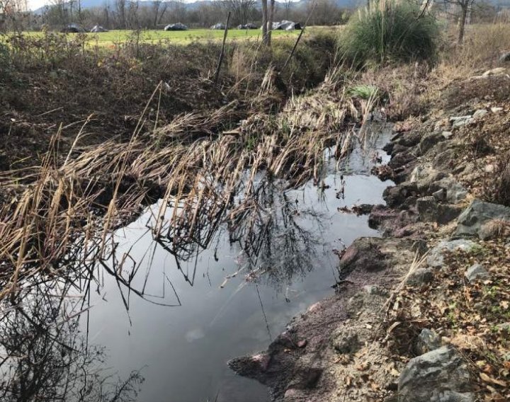 ȚI SE RUPE INIMA! Peste 360.000 de litri de vin s-au scurs într-un pârâu (GALERIE FOTO)