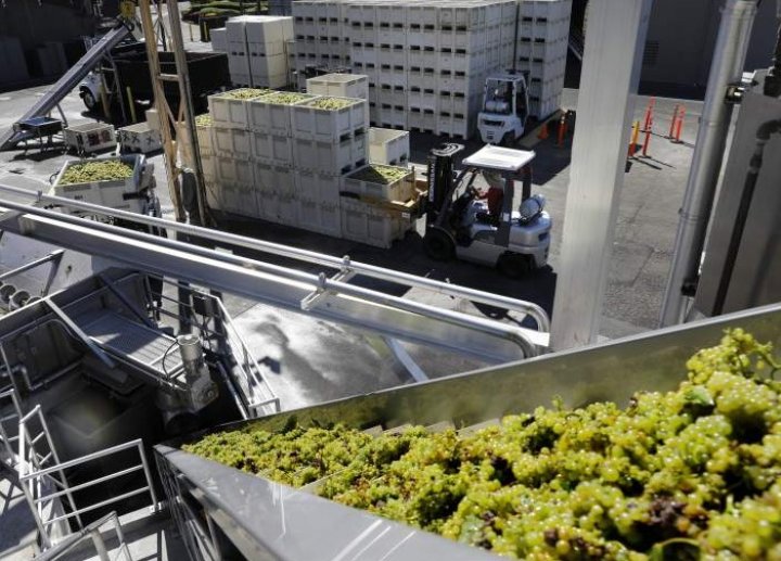 ȚI SE RUPE INIMA! Peste 360.000 de litri de vin s-au scurs într-un pârâu (GALERIE FOTO)