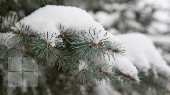 VESTE BUNĂ pentru cei care vor ZĂPADĂ. Meteorologii au anunţat când VA NINGE