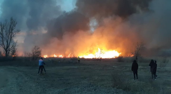 Incendiu la Strășeni. Arde o suprafață mare de vegetație (FOTO/VIDEO)