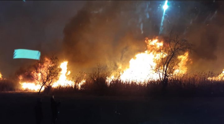 Incendiu la Strășeni. Arde o suprafață mare de vegetație (FOTO/VIDEO)