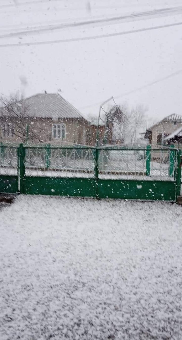 NINGE în nordul Moldovei. La Briceni, pământul a fost acoperit de zăpadă (VIDEO/FOTO)