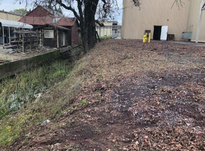 ȚI SE RUPE INIMA! Peste 360.000 de litri de vin s-au scurs într-un pârâu (GALERIE FOTO)