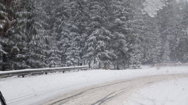 NINGE peste Prut. E Cod Galben de ninsori şi viscol în 26 de judeţe. La munte e ca în poveste (VIDEO)