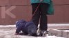 O femeie a fost filmată în timp ce a târât un copil după ea, legat cu o lesă (VIDEO)
