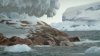 Topirea gheţarilor a dus la apariţia unei noi insule în Antarctica