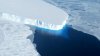Temperaturi record în Antarctica: Au depășit 20 de grade Celsius