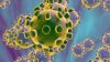 Managerul de la spitalul „Matei Balș”: Coronavirusul, de 10 ori mai slab decât virusul gripal. Apa și săpunul fac mai mult decât 100 de doctori