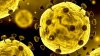 Cercetător renumit despre coronavirus: Gravitatea infecțiilor cu COVID-19 este cam aceeași ca gravitatea unei gripe
