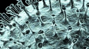 Coronavirus: 724 de morţi, 34 888 infectaţi