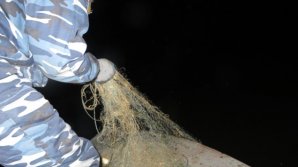 Doi tineri, prinși în timp ce pescuiau într-o zonă interzisă (VIDEO)