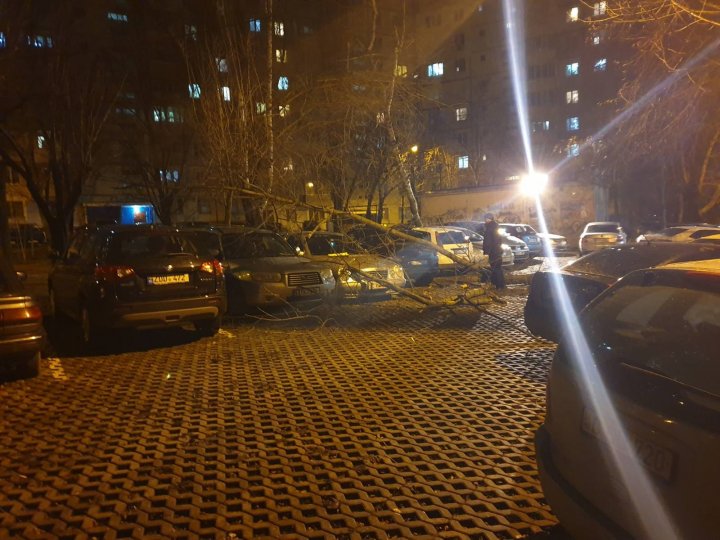 Vremea rea face ravagii în Capitală. Mai multe maşini, avariate după ce un copac a căzut peste ele (FOTO/VIDEO)