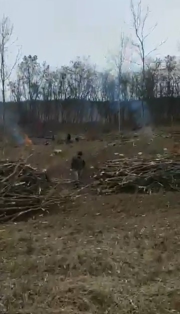 RAZII în ocolul Silvic Fălești. Inspectorii de mediu au întocmit două procese penale