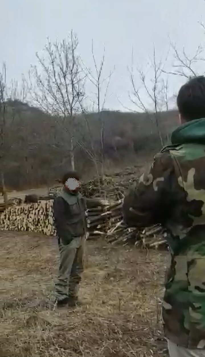 RAZII în ocolul Silvic Fălești. Inspectorii de mediu au întocmit două procese penale