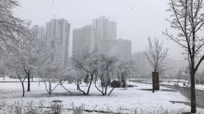 Primăvara cu surprize. La Kiev ninge abundent (VIDEO)