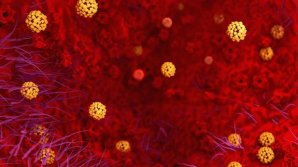 Rafila: Coronavirusul s-a transmis de la liliac