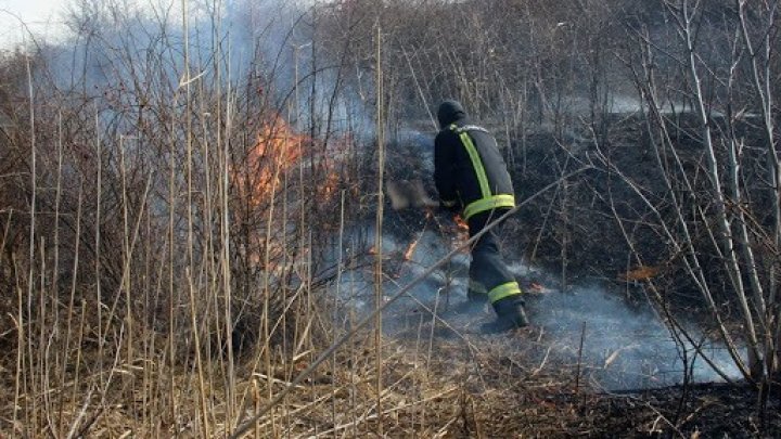 Mai multe incendii de vegetaţie au cuprins suprafeţe extinse pe teritoriul ţării