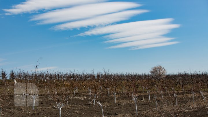 Astăzi, 20 martie, are loc echinocţiul de primăvară. Ce semnifică acest fenomen și când începe primăvara astronomică