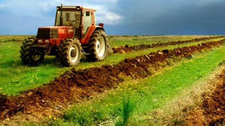 Producătorii agricoli, aşteptaţi la AIPA să depună cereri pentru subvenţii