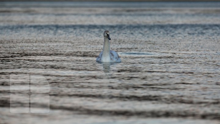 VEŞTI PROASTE de la METEO pentru acest WEEKEND: Vremea se RĂCEŞTE. Câte grade vor indica termometrele