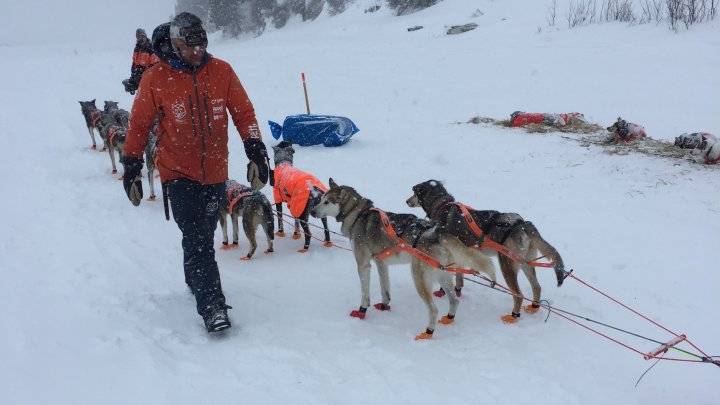 Thomas Waerner, câștigătorul concursul Iditarod Trail Sled Dog Race